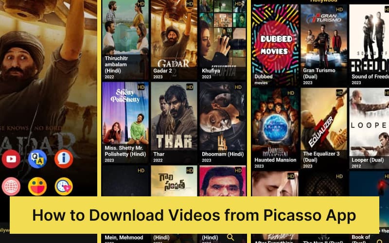download videos from picasso app